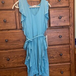 NWT Carve Bella dress. Size M. Teal